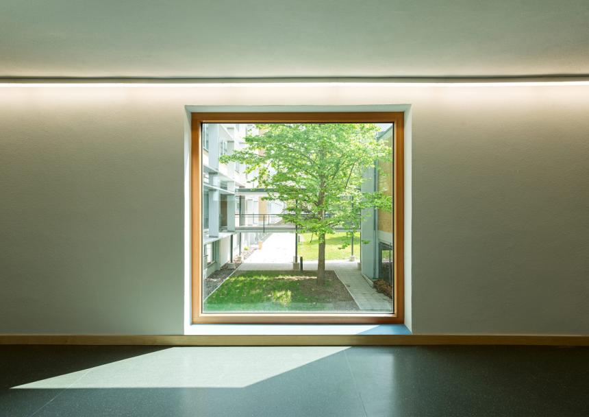 Senckenberg Biodiversität und Klima Forschungszentrum (SBIK-F)